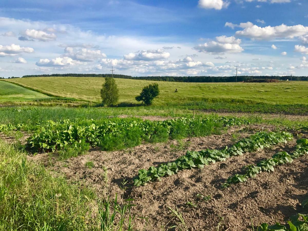 Agroturystyka Nad Jeziorem Silickim Ilinscy Silice Exterior photo